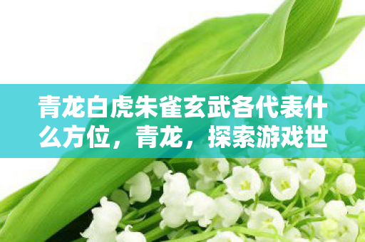 青龙白虎朱雀玄武各代表什么方位,青龙,探索游戏世界的无限可能 青龙白虎朱雀玄武各代表什么方位,青龙,探索游戏世界的无限可能
