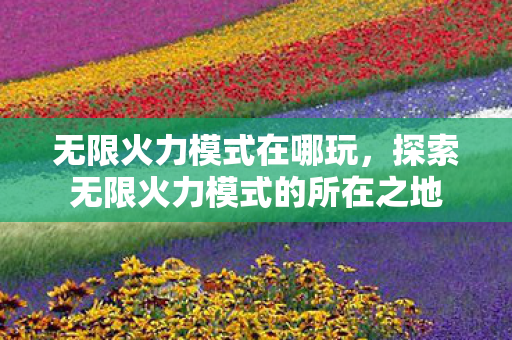 无限火力模式在哪玩,探索无限火力模式的所在之地 无限火力模式在哪玩,探索无限火力模式的所在之地