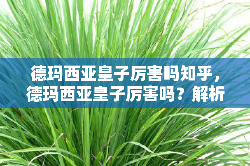 德玛西亚皇子厉害吗知乎,德玛西亚皇子厉害吗?解析其游戏实力与战略价值 德玛西亚皇子厉害吗知乎,德玛西亚皇子厉害吗?解析其游戏实力与战略价值