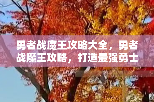 勇者战魔王攻略大全,勇者战魔王攻略,打造最强勇士,征服黑暗势力 勇者战魔王攻略大全,勇者战魔王攻略,打造最强勇士,征服黑暗势力