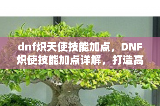 dnf炽天使技能加点，DNF炽使技能加点详解，打造高效战斗体验