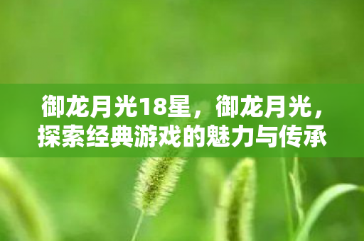御龙月光18星,御龙月光,探索经典游戏的魅力与传承 御龙月光18星,御龙月光,探索经典游戏的魅力与传承