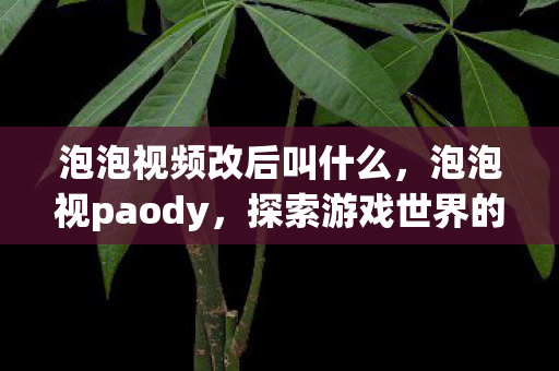 泡泡视频改后叫什么,泡泡视paody,探索游戏世界的无限可能 泡泡视频改后叫什么,泡泡视paody,探索游戏世界的无限可能