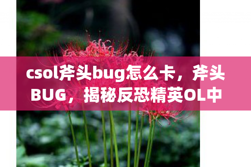 csol斧头bug怎么卡,斧头BUG,揭秘反恐精英OL中的神秘漏洞 csol斧头bug怎么卡,斧头BUG,揭秘反恐精英OL中的神秘漏洞