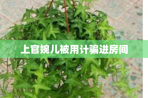 上官婉儿被用计骗进房间 上官婉儿被用计骗进房间