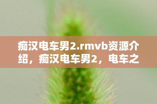 痴汉电车男2.rmvb资源介绍,痴汉电车男2,电车之旅的奇幻冒险 痴汉电车男2.rmvb资源介绍,痴汉电车男2,电车之旅的奇幻冒险