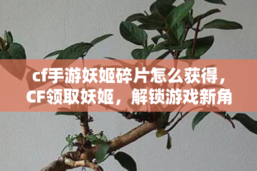 cf手游妖姬碎片怎么获得,CF领取妖姬,解锁游戏新角色,体验战斗新乐趣 cf手游妖姬碎片怎么获得,CF领取妖姬,解锁游戏新角色,体验战斗新乐趣