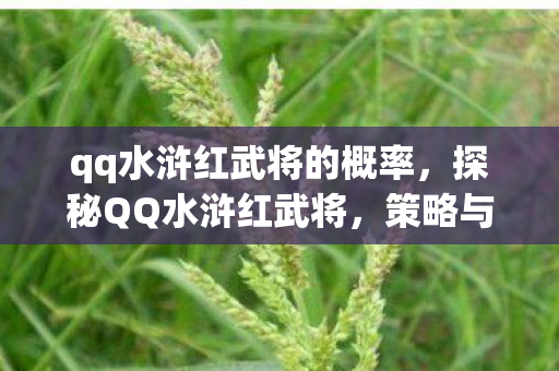 qq水浒红武将的概率，探秘QQ水浒红武将，策略与勇气的完美结合