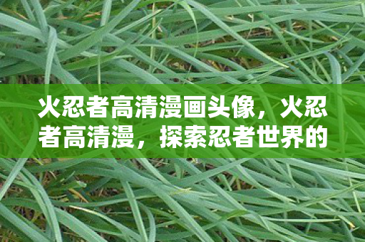火忍者高清漫画头像,火忍者高清漫,探索忍者世界的奇幻之旅 火忍者高清漫画头像,火忍者高清漫,探索忍者世界的奇幻之旅