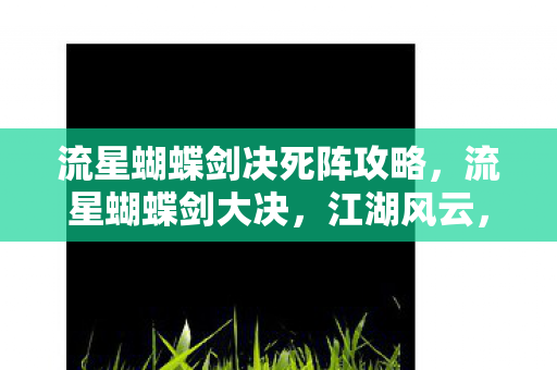 流星蝴蝶剑决死阵攻略,流星蝴蝶剑大决,江湖风云,剑影刀光 流星蝴蝶剑决死阵攻略,流星蝴蝶剑大决,江湖风云,剑影刀光