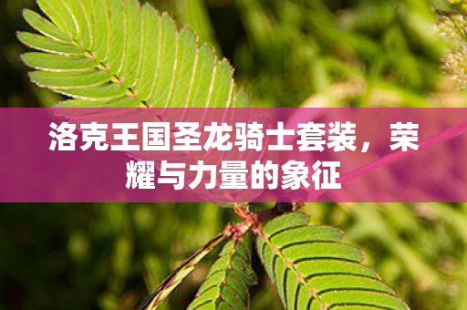 洛克王国圣龙骑士套装,荣耀与力量的象征 洛克王国圣龙骑士套装,荣耀与力量的象征