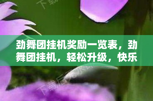 劲舞团挂机奖励一览表,劲舞团挂机,轻松升级,快乐无限 劲舞团挂机奖励一览表,劲舞团挂机,轻松升级,快乐无限