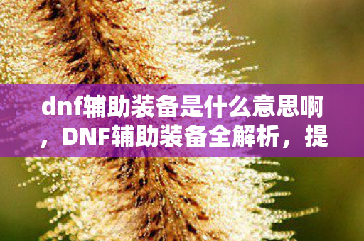 dnf辅助装备是什么意思啊，DNF辅助装备全解析，提升战斗力的关键要素