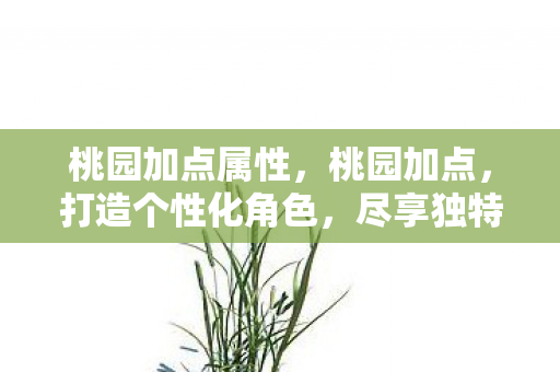 桃园加点属性,桃园加点,打造个性化角色,尽享独特游戏体验 桃园加点属性,桃园加点,打造个性化角色,尽享独特游戏体验