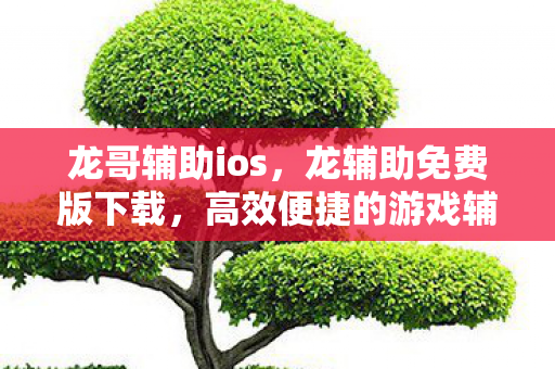龙哥辅助ios,龙辅助免费版下载,高效便捷的游戏辅助工具 龙哥辅助ios,龙辅助免费版下载,高效便捷的游戏辅助工具