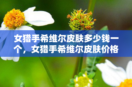 女猎手希维尔皮肤多少钱一个,女猎手希维尔皮肤价格分析 女猎手希维尔皮肤多少钱一个,女猎手希维尔皮肤价格分析