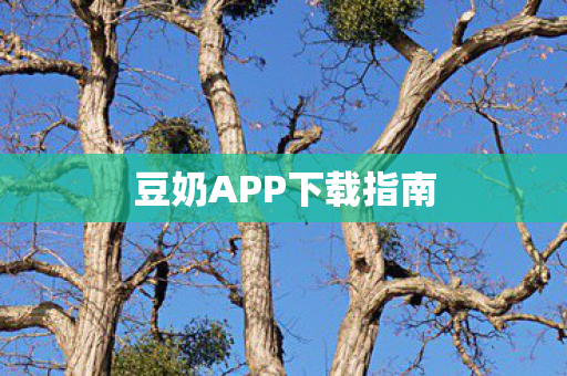 豆奶APP下载指南 豆奶APP下载指南