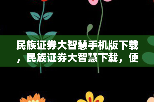 民族证券大智慧手机版下载，民族证券大智慧下载，便捷、安全、高效的证券分析工具