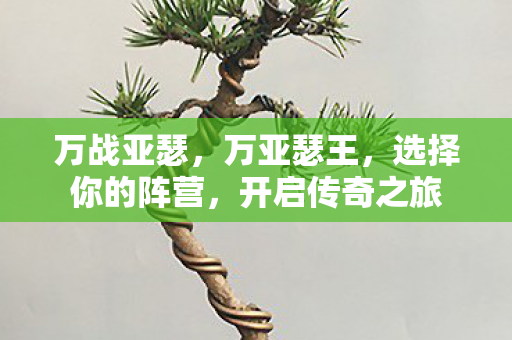万战亚瑟，万亚瑟王，选择你的阵营，开启传奇之旅