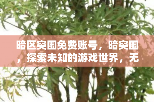 暗区突围免费账号,暗突围,探索未知的游戏世界,无需账号的自由之旅 暗区突围免费账号,暗突围,探索未知的游戏世界,无需账号的自由之旅