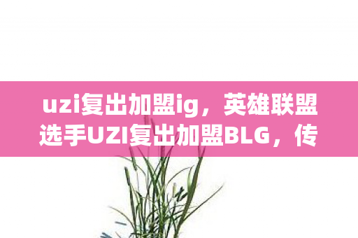 uzi复出加盟ig,英雄联盟选手UZI复出加盟BLG,传奇归来,再战江湖 uzi复出加盟ig,英雄联盟选手UZI复出加盟BLG,传奇归来,再战江湖