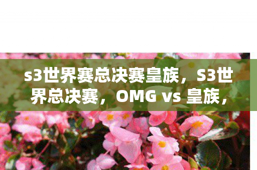 s3世界赛总决赛皇族,S3世界总决赛,OMG vs 皇族,一场电竞传奇的对决 s3世界赛总决赛皇族,S3世界总决赛,OMG vs 皇族,一场电竞传奇的对决