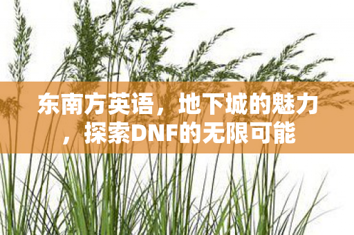 东南方英语,地下城的魅力,探索DNF的无限可能 东南方英语,地下城的魅力,探索DNF的无限可能