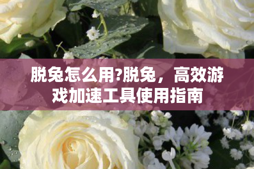 脱兔怎么用?脱兔,高效游戏加速工具使用指南 脱兔怎么用?脱兔,高效游戏加速工具使用指南