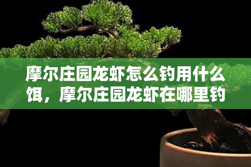 摩尔庄园龙虾怎么钓用什么饵，摩尔庄园龙虾在哪里钓
