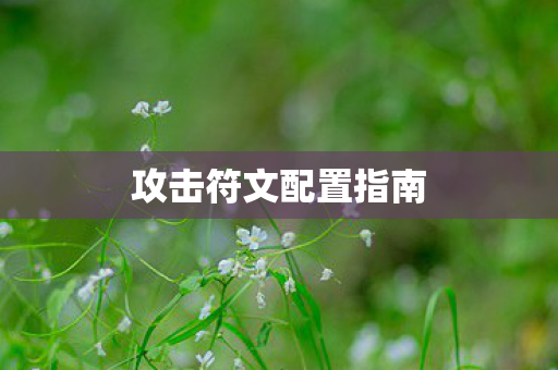 攻击符文配置指南