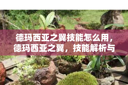 德玛西亚之翼技能怎么用，德玛西亚之翼，技能解析与实战应用
