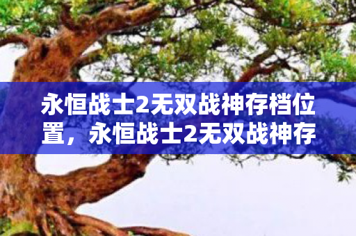 永恒战士2无双战神存档位置，永恒战士2无双战神存档，解锁无限战斗潜能