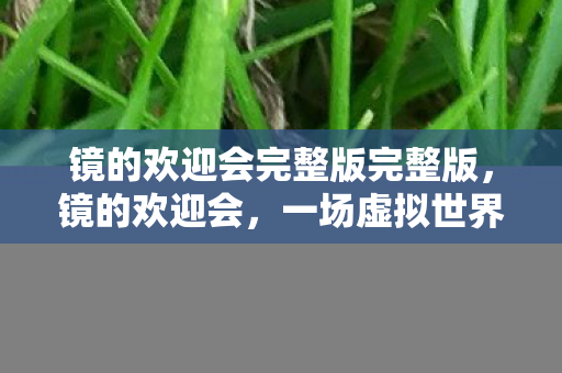 镜的欢迎会完整版完整版，镜的欢迎会，一场虚拟世界的盛宴