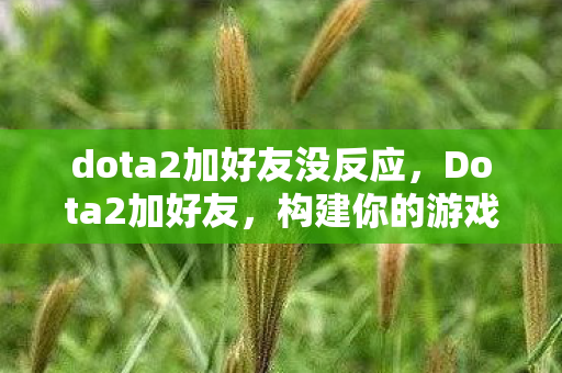 dota2加好友没反应,Dota2加好友,构建你的游戏社交圈 dota2加好友没反应,Dota2加好友,构建你的游戏社交圈