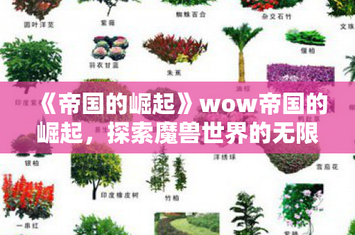 《帝国的崛起》wow帝国的崛起,探索魔兽世界的无限可能 《帝国的崛起》wow帝国的崛起,探索魔兽世界的无限可能