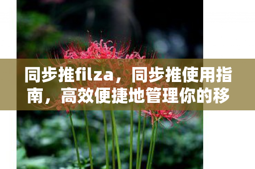 同步推filza,同步推使用指南,高效便捷地管理你的移动设备资源 同步推filza,同步推使用指南,高效便捷地管理你的移动设备资源