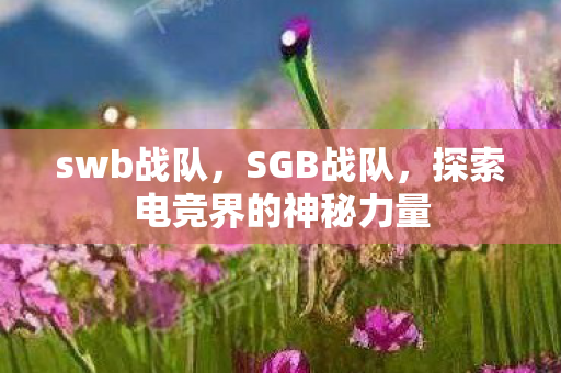 swb战队,SGB战队,探索电竞界的神秘力量 swb战队,SGB战队,探索电竞界的神秘力量