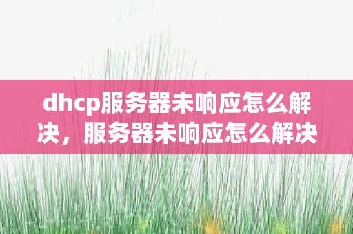 dhcp服务器未响应怎么解决,服务器未响应怎么解决 dhcp服务器未响应怎么解决,服务器未响应怎么解决