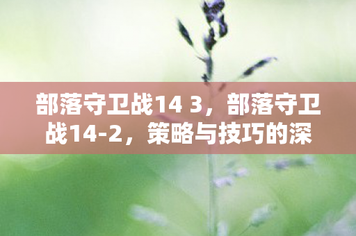 部落守卫战14 3，部落守卫战14-2，策略与技巧的深度剖析