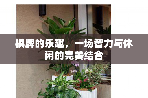 棋牌的乐趣,一场智力与休闲的完美结合 棋牌的乐趣,一场智力与休闲的完美结合
