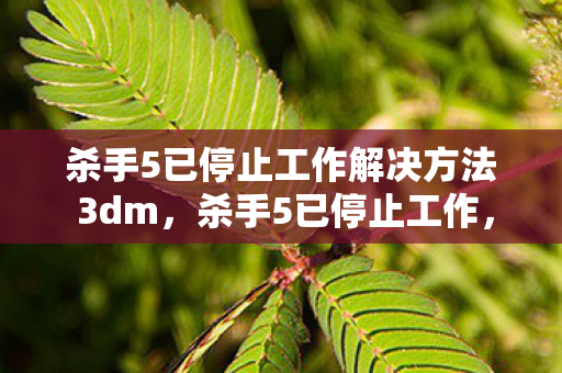 杀手5已停止工作解决方法 3dm，杀手5已停止工作，深度解析游戏崩溃背后的原因与解决方案