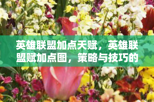 英雄联盟加点天赋,英雄联盟赋加点图,策略与技巧的深度剖析 英雄联盟加点天赋,英雄联盟赋加点图,策略与技巧的深度剖析