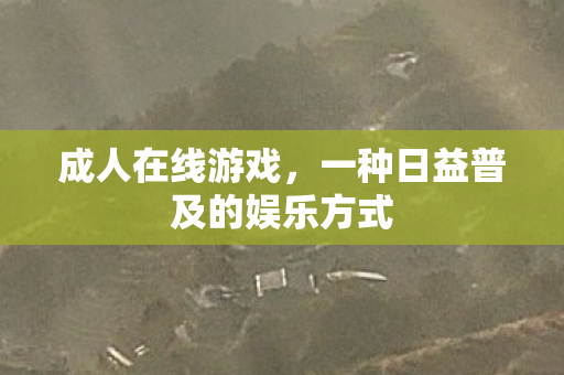 成人在线游戏,一种日益普及的娱乐方式 成人在线游戏,一种日益普及的娱乐方式