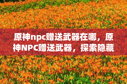 原神npc赠送武器在哪,原神NPC赠送武器,探索隐藏宝藏,提升角色实力 原神npc赠送武器在哪,原神NPC赠送武器,探索隐藏宝藏,提升角色实力