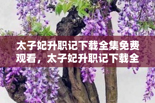 太子妃升职记下载全集免费观看,太子妃升职记下载全集,解锁古装轻喜剧的无限魅力 太子妃升职记下载全集免费观看,太子妃升职记下载全集,解锁古装轻喜剧的无限魅力