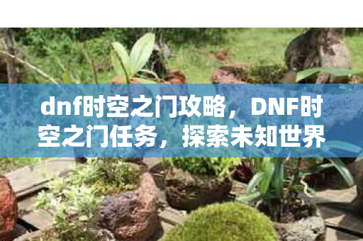dnf时空之门攻略,DNF时空之门任务,探索未知世界的神秘之旅 dnf时空之门攻略,DNF时空之门任务,探索未知世界的神秘之旅