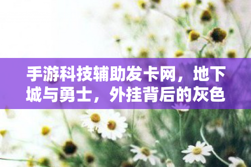 手游科技辅助发卡网,地下城与勇士,外挂背后的灰色产业链 手游科技辅助发卡网,地下城与勇士,外挂背后的灰色产业链