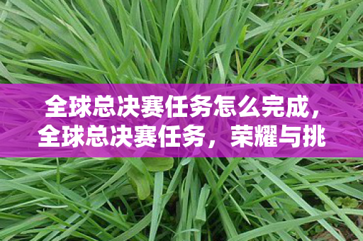 全球总决赛任务怎么完成,全球总决赛任务,荣耀与挑战的巅峰对决 全球总决赛任务怎么完成,全球总决赛任务,荣耀与挑战的巅峰对决