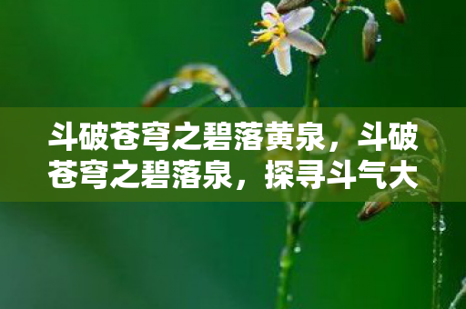 斗破苍穹之碧落黄泉,斗破苍穹之碧落泉,探寻斗气大陆的神秘源泉 斗破苍穹之碧落黄泉,斗破苍穹之碧落泉,探寻斗气大陆的神秘源泉