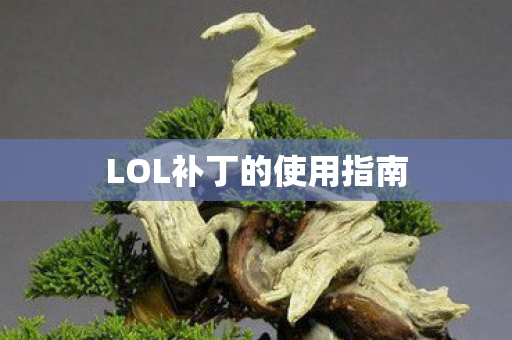 LOL补丁的使用指南
